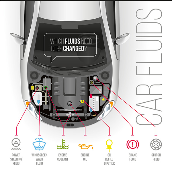 End-of-Summer Fluid Checks That Prevent Fall Breakdowns